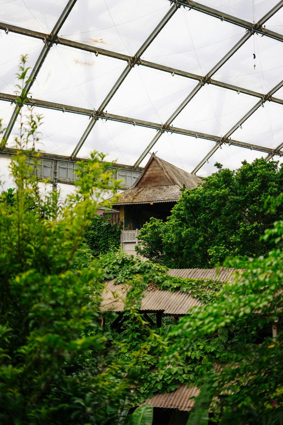 Green roof integration