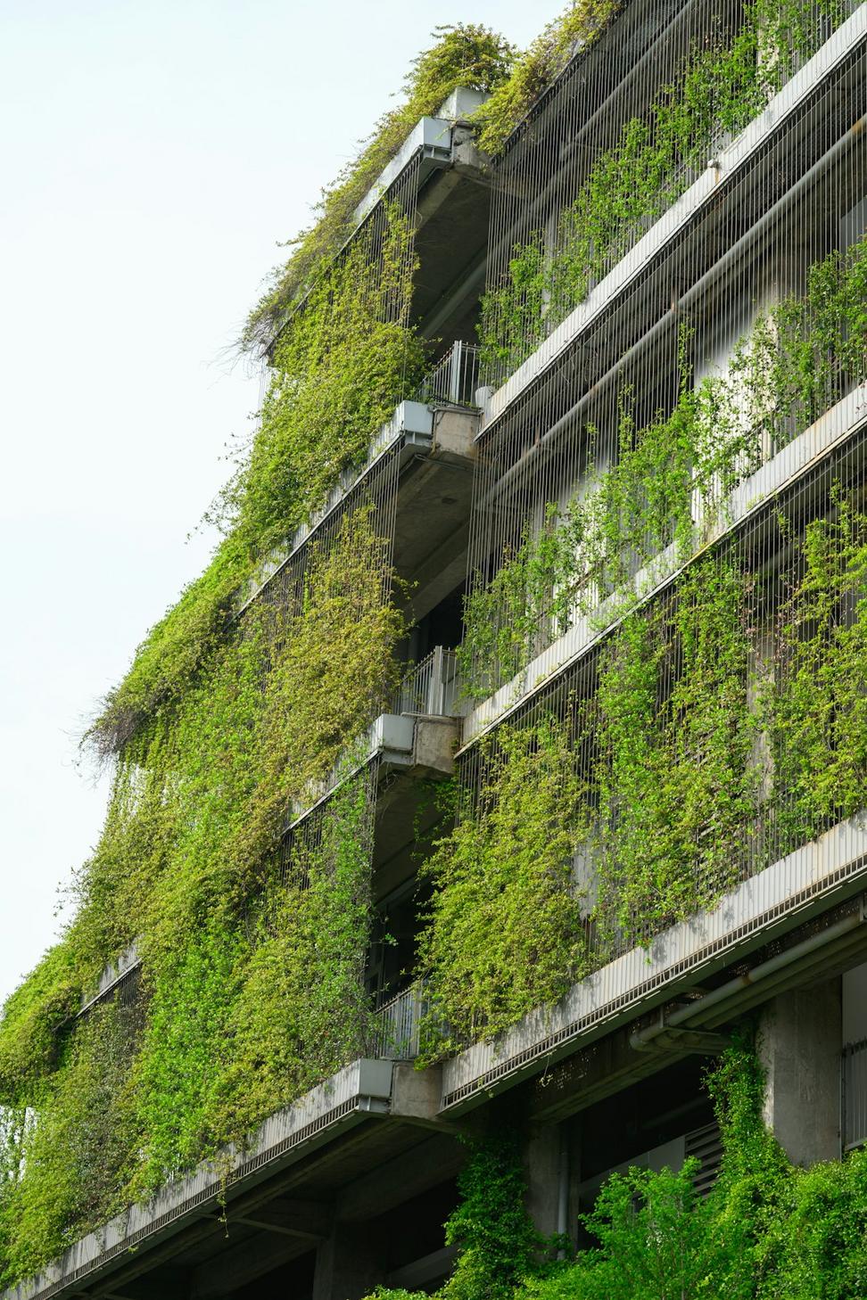 Sustainable architecture design process